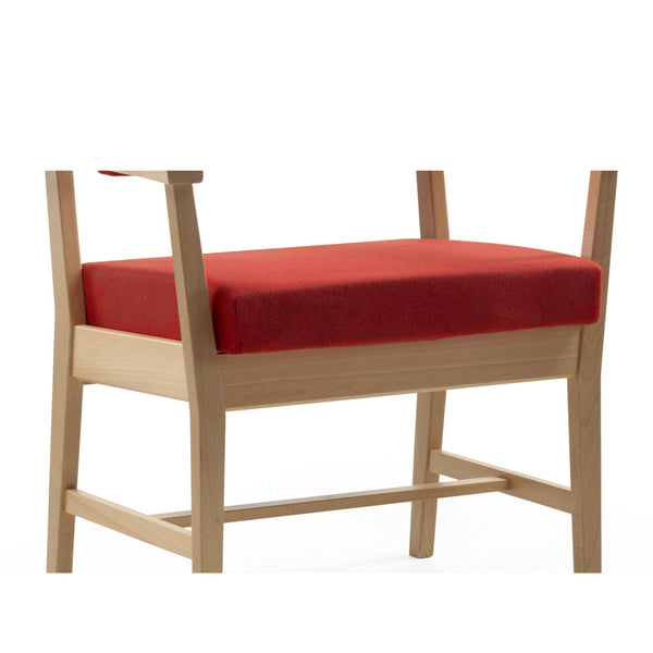 Bo Bariatric chair complate seat cushion