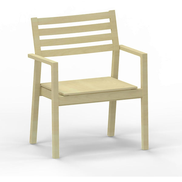 Modus Bariatric w/arms, solid wood seat