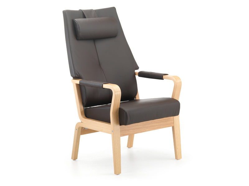 Duun high back chair w/static back, open armrests