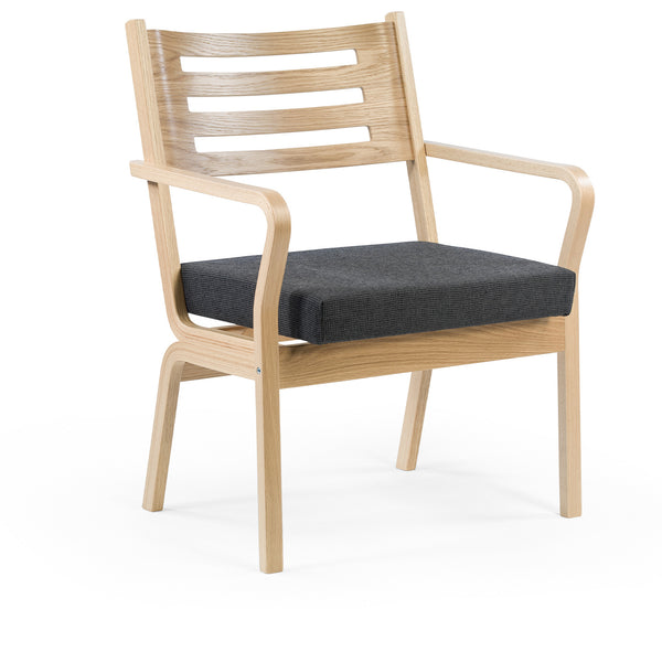 Duun bariatric chair w/armrests