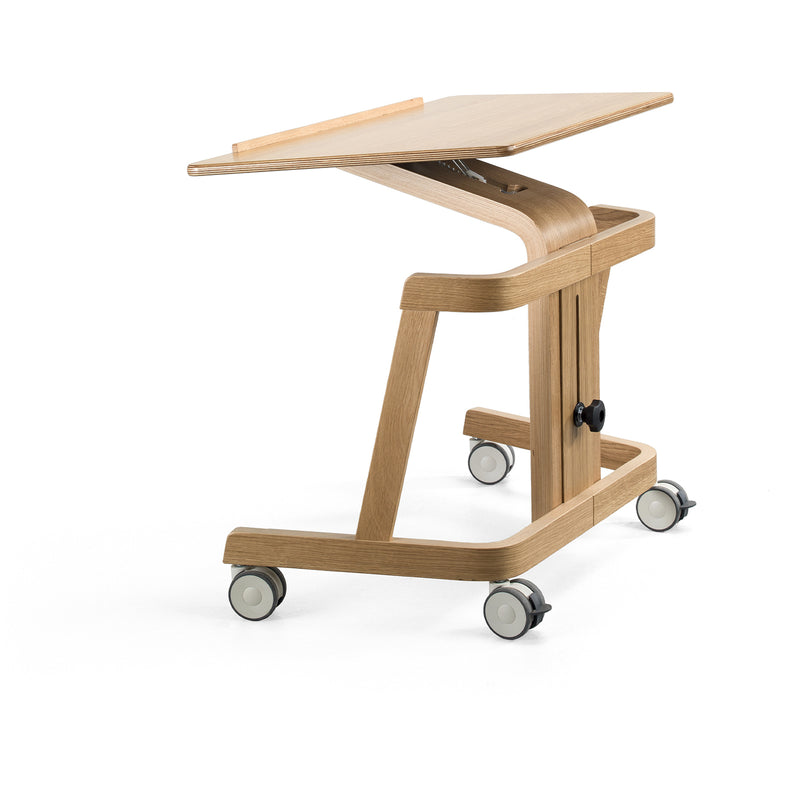 HM270 Trolley table w/angle adjusted table top, hight adjustable
